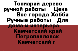 Топиарий-дерево ручной работы. › Цена ­ 900 - Все города Хобби. Ручные работы » Для дома и интерьера   . Камчатский край,Петропавловск-Камчатский г.